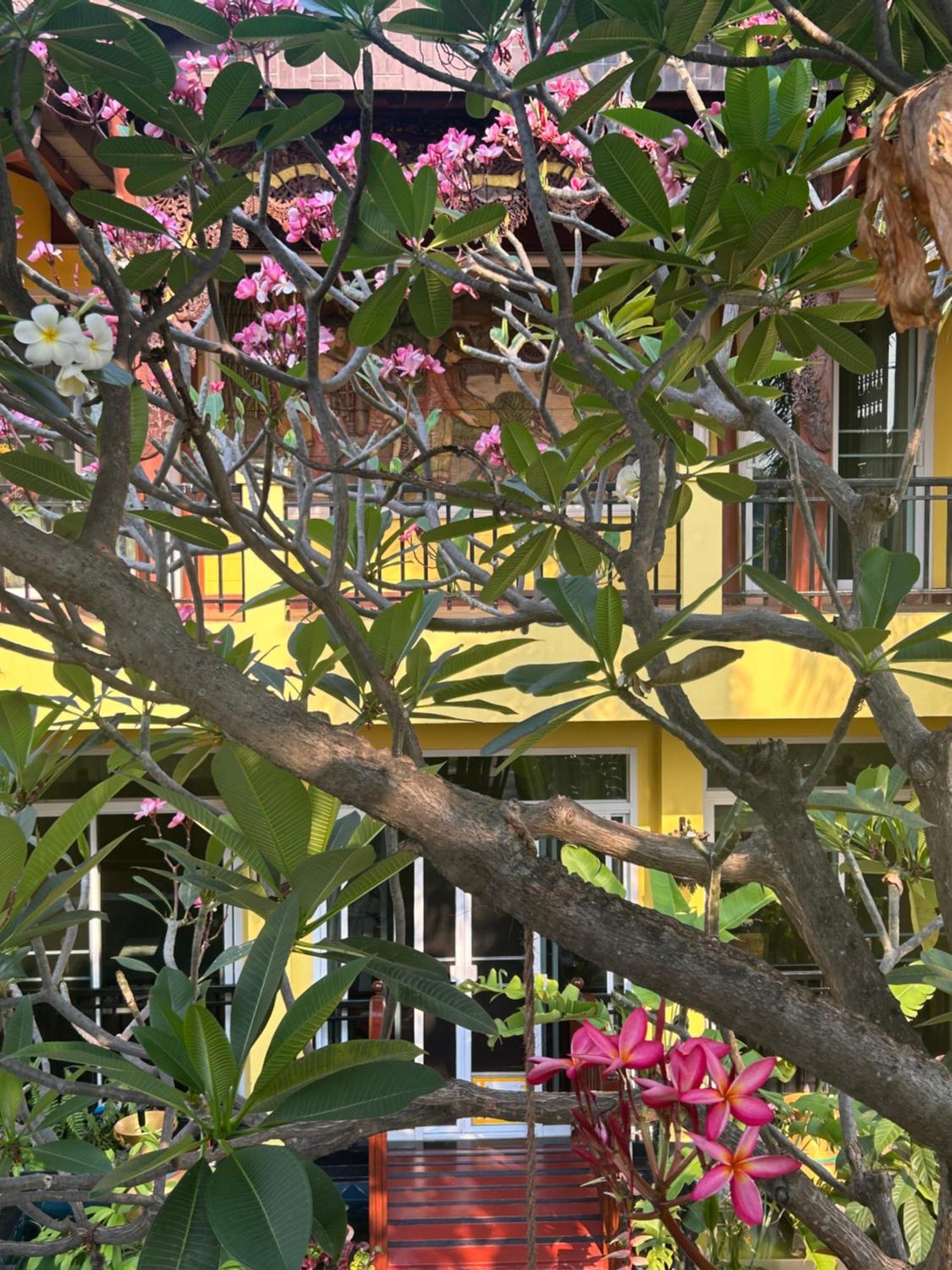 Lamduan Boutique Homestay Chiang Mai Ngoại thất bức ảnh