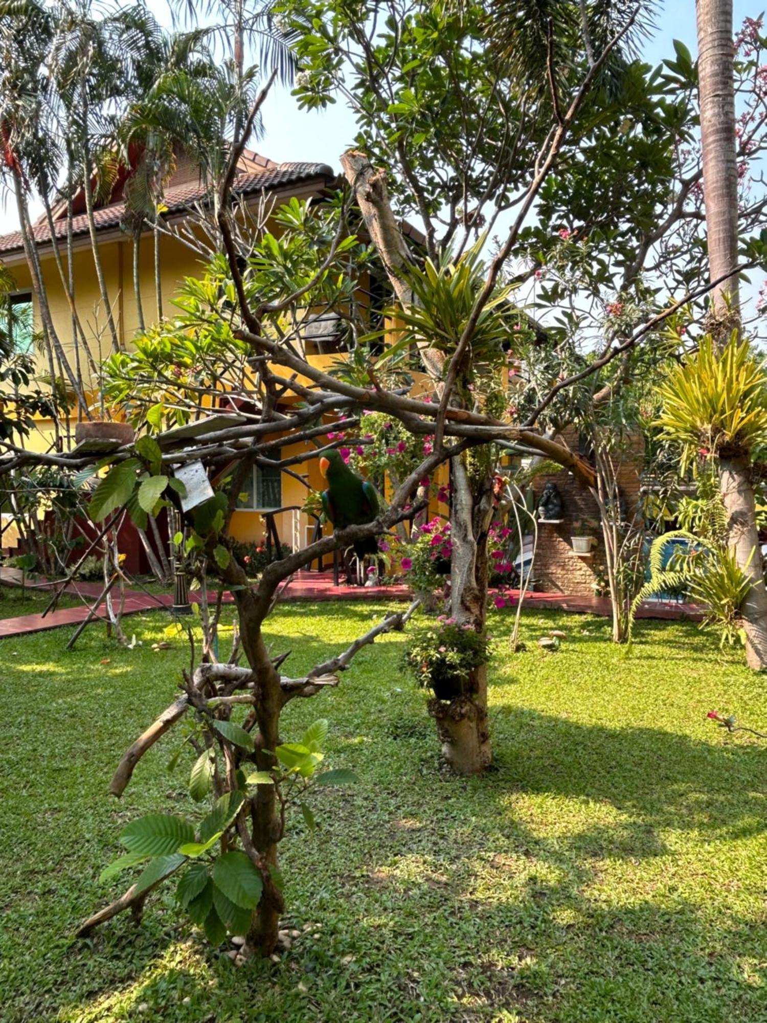 Lamduan Boutique Homestay Chiang Mai Ngoại thất bức ảnh